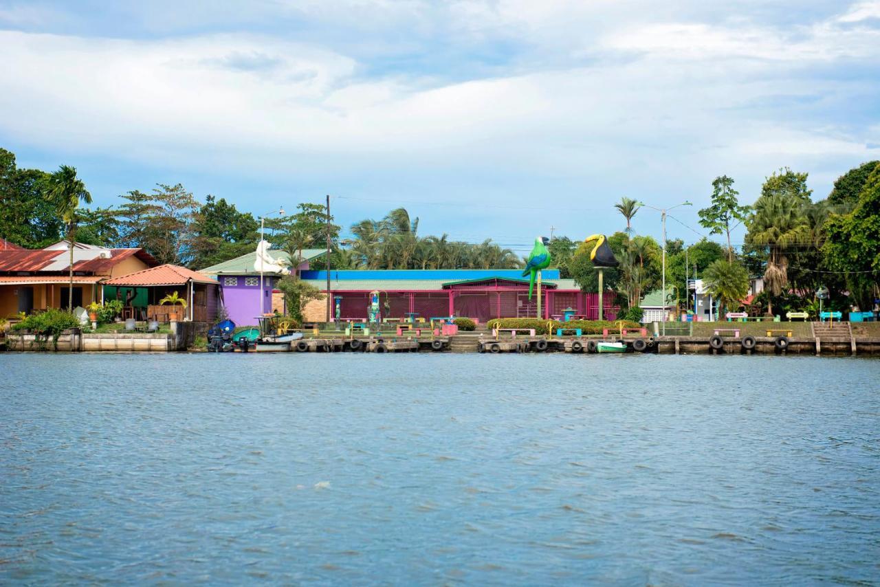 The Corner House Apartment Tortuguero Ngoại thất bức ảnh